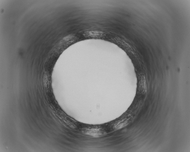 X0000085070651200704021412