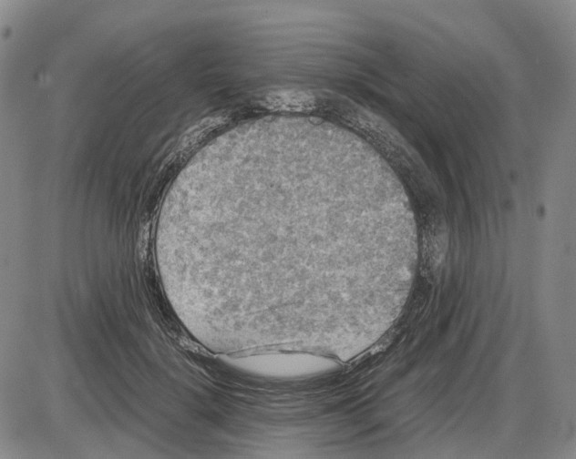 X0000085070652200704021412