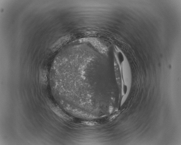 X0000085070654200704021412