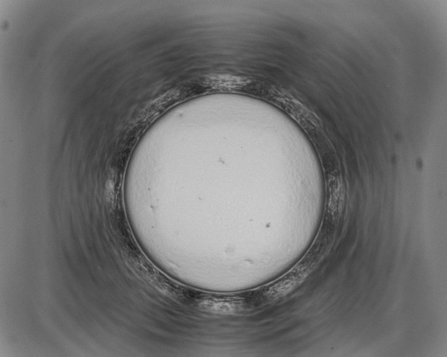 X0000085070655200704021412