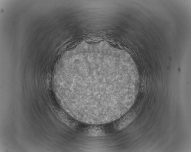 X0000085070656200704021412