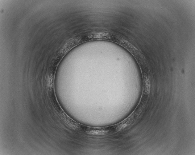 X0000085070657200704021412