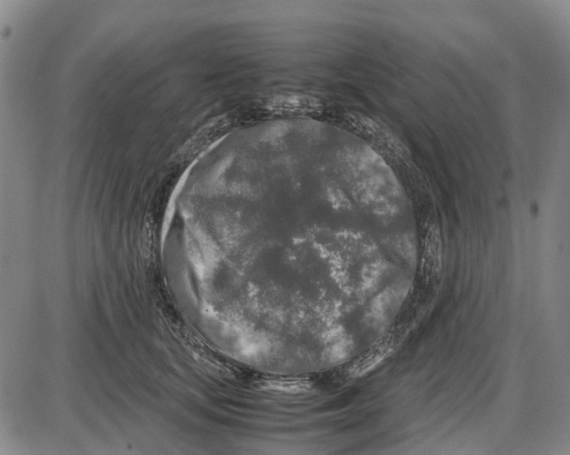 X0000085070659200704021412