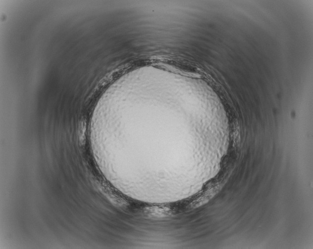 X0000085070660200704021412