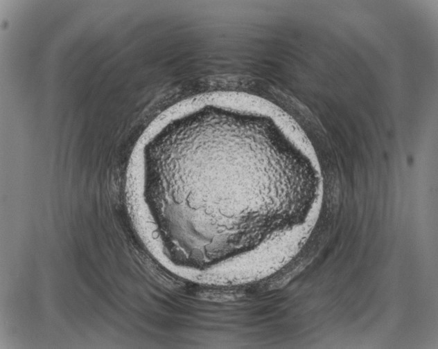 X0000085070661200704021412