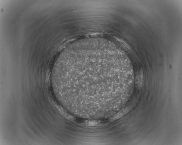 X0000085070662200704021412