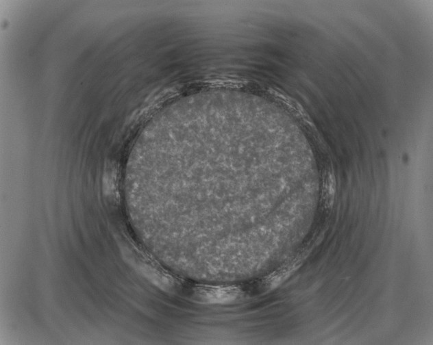 X0000085070663200704021412