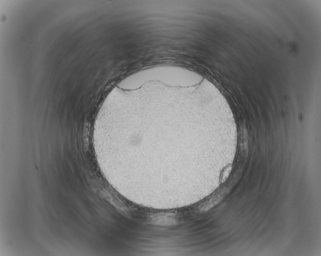 X0000085070664200704021412