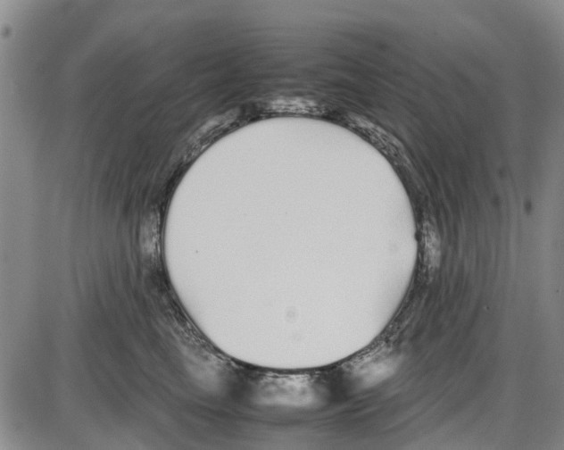 X0000085070665200704021412