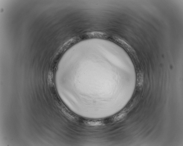 X0000085070669200704021412