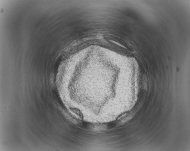 X0000085070670200704021412