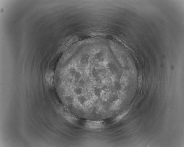 X0000085070671200704021412