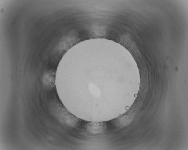 X0000085070672200704021412