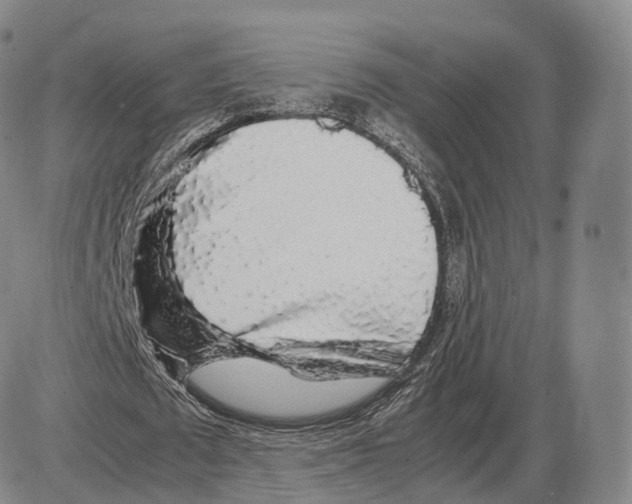 X0000085070673200704021411