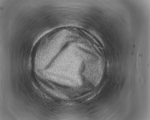 X0000085070676200704021411