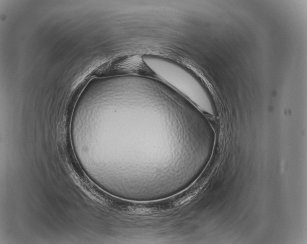 X0000085070677200704021411