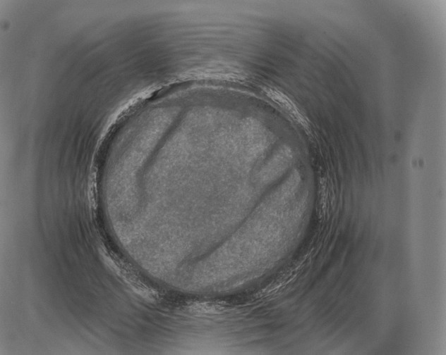 X0000085070680200704021411