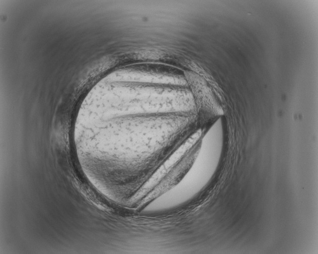 X0000085070681200704021411