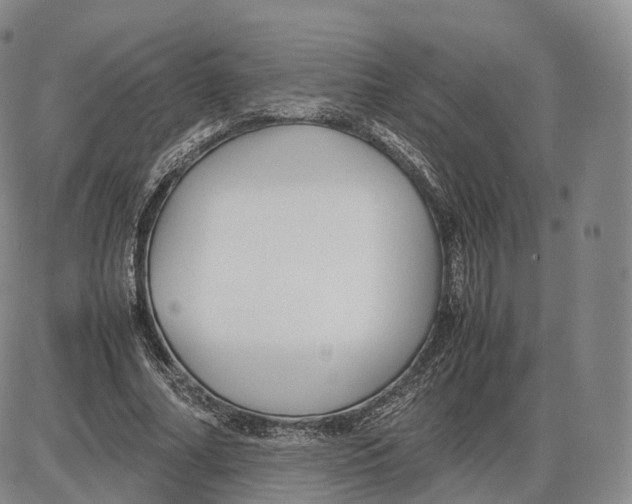 X0000085070682200704021411