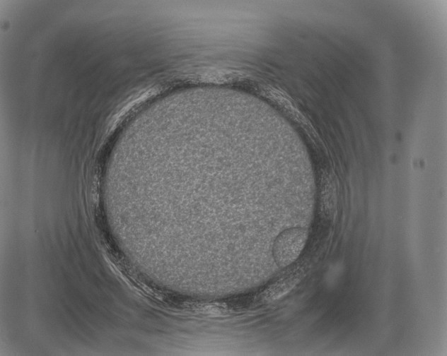 X0000085070683200704021411