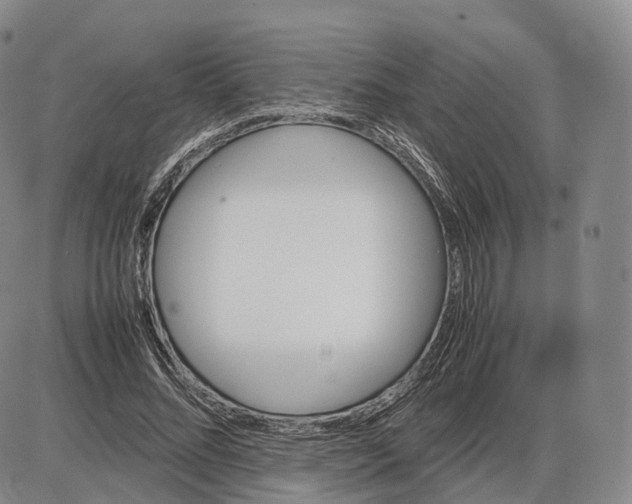 X0000085070684200704021411