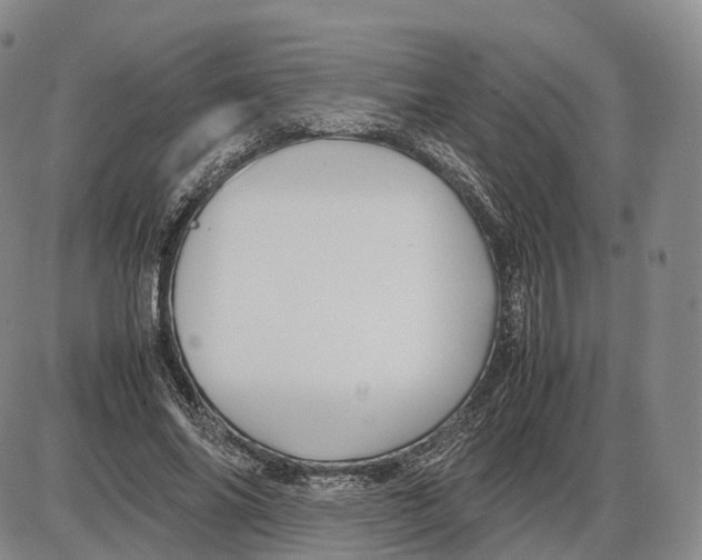 X0000085070686200704021411