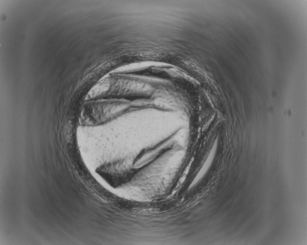 X0000085070689200704021411