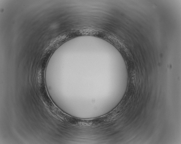 X0000085070690200704021411