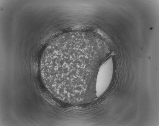 X0000085070691200704021411