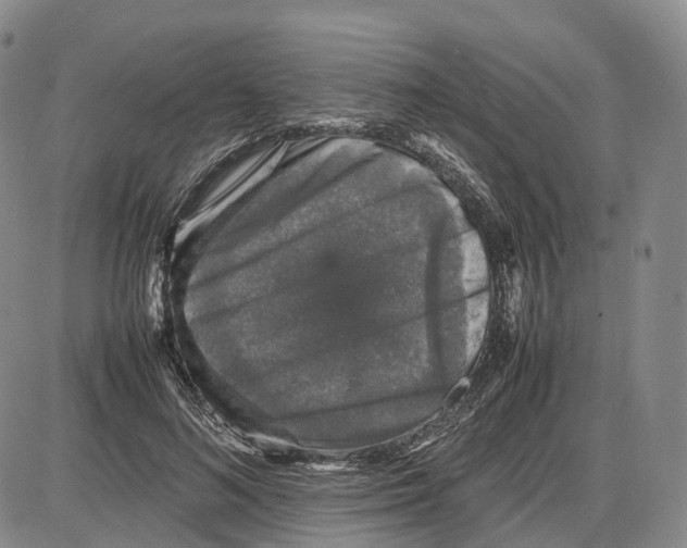 X0000085070692200704021411