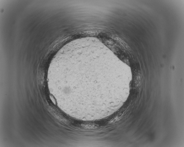 X0000085070693200704021411