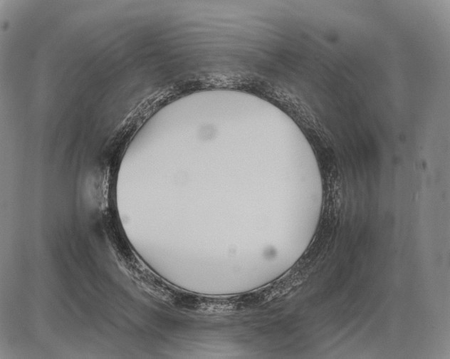 X0000085070694200704021411