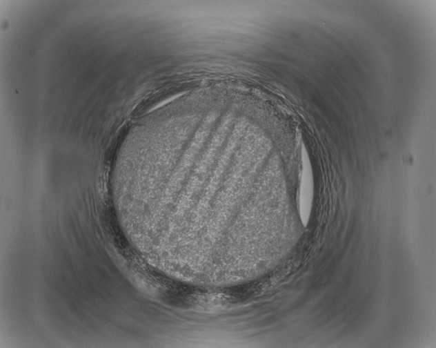 X0000085070695200704021411