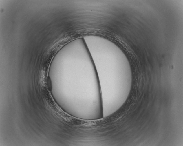 X0000085070696200704021411