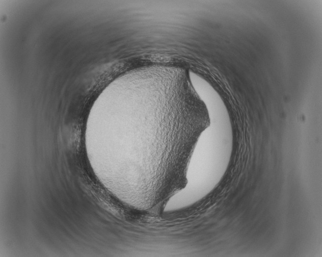 X0000085070697200704021411