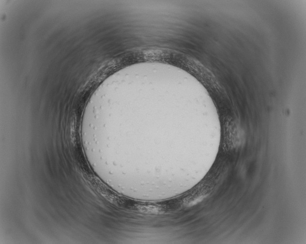 X0000085070698200704021411