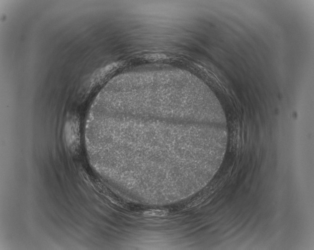 X0000085070700200704021411