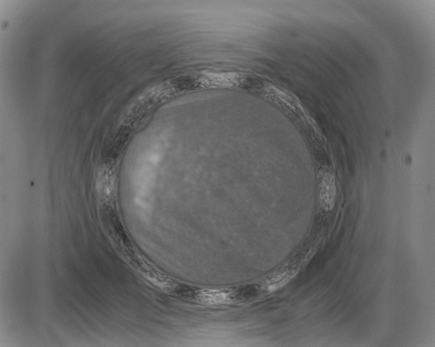 X0000085070701200704021411