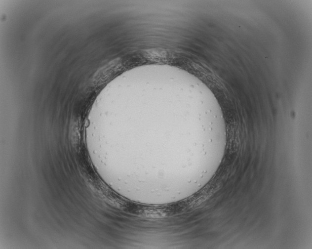 X0000085070702200704021411