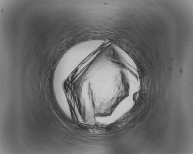 X0000085070703200704021411