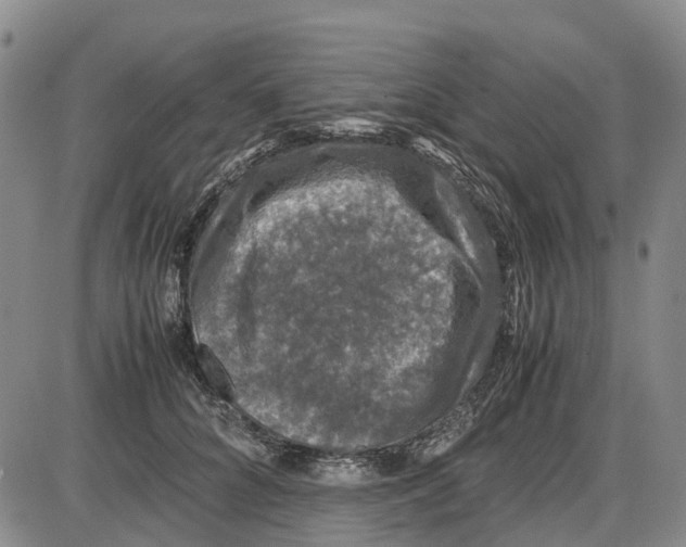 X0000085070704200704021411