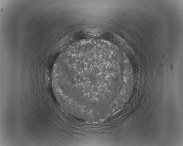 X0000085070707200704021411