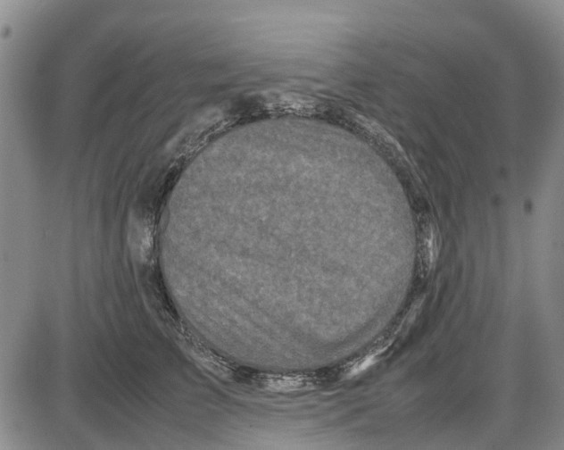 X0000085070709200704021411