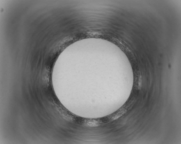 X0000085070710200704021411