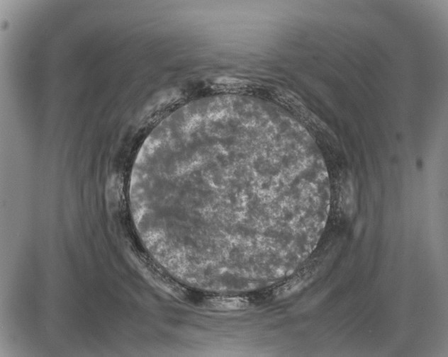 X0000085070711200704021411