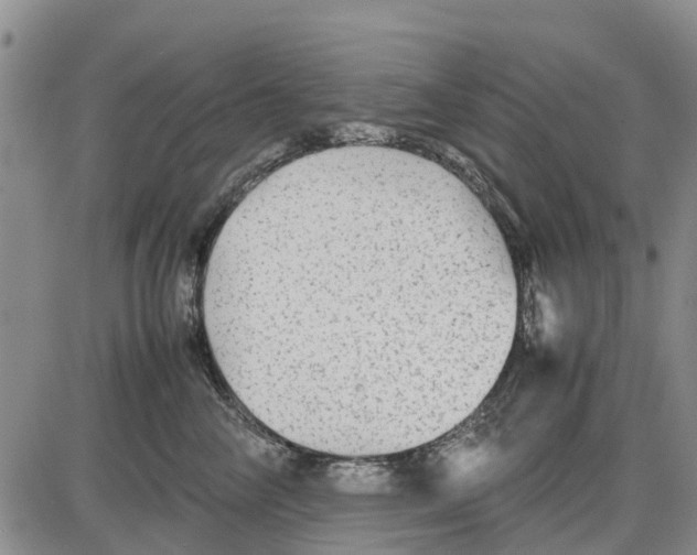 X0000085070714200704021411