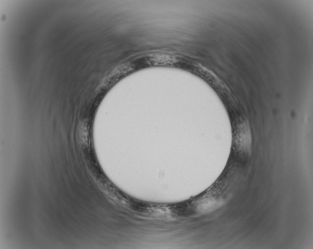 X0000085070715200704021411