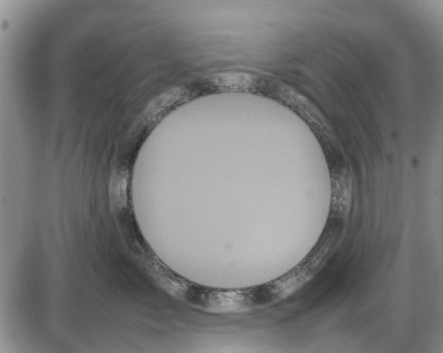 X0000085070717200704021411