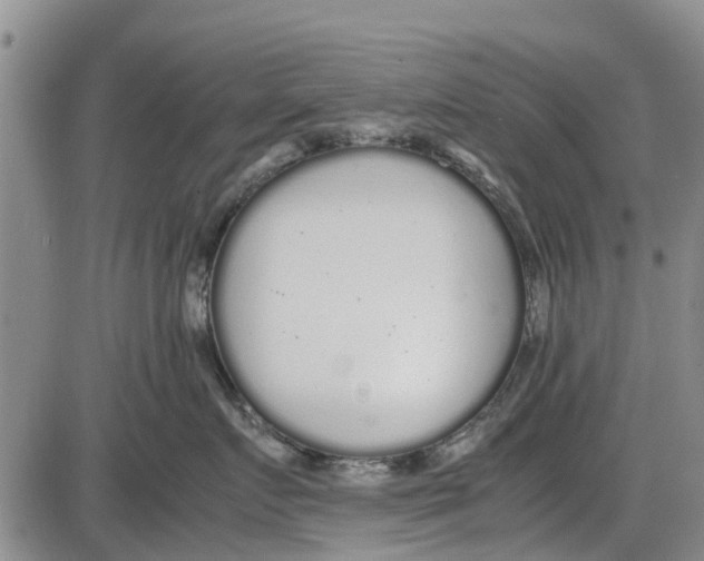 X0000085070719200704021411