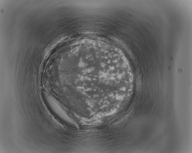 X0000085070721200704021410